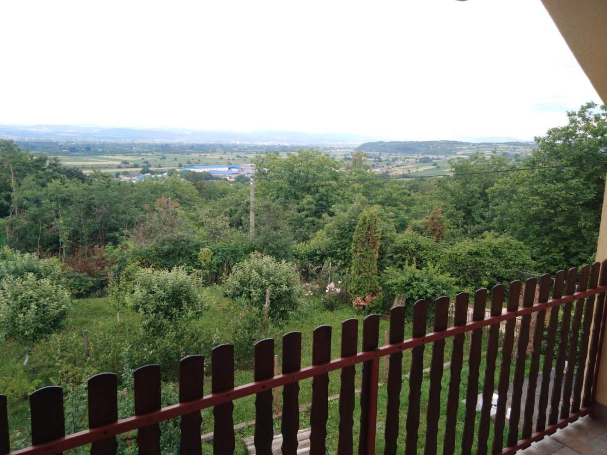 Dedinje Villa ยาโกดินา ภายนอก รูปภาพ